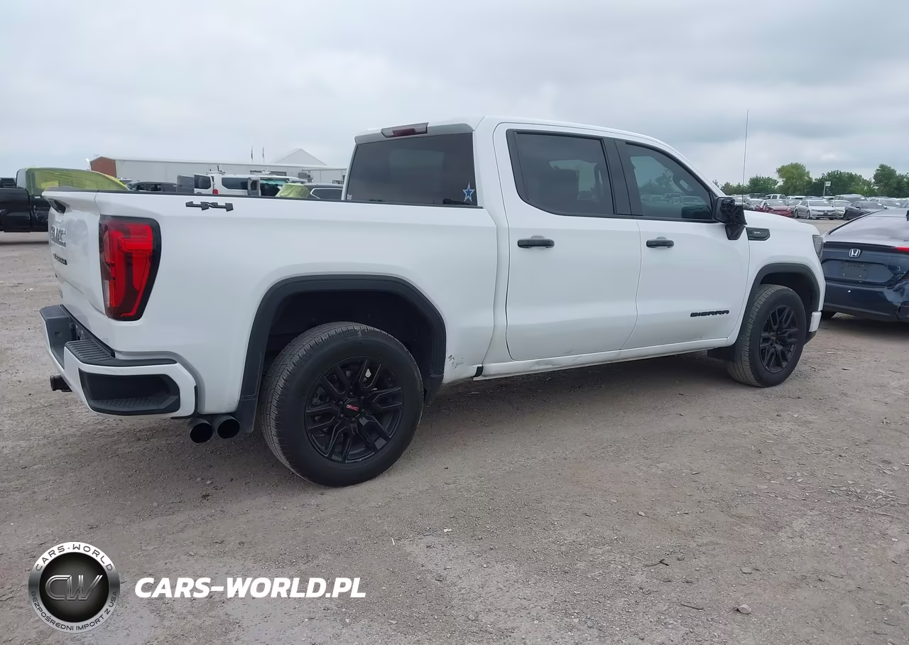 2023 GMC Sierra 1500 4Wd Short Box Pro VIN:1GTPUAEK9PZ170155 - 4