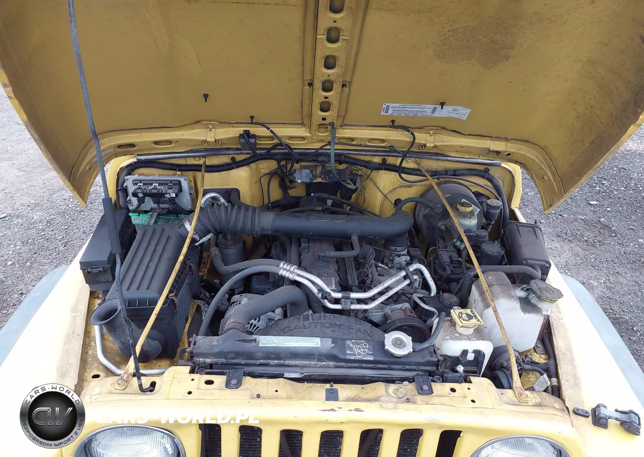 2000 Jeep Wrangler Sport VIN:1J4FA49S8YP788476 - 10