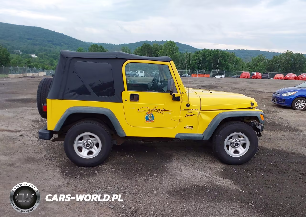 2000 Jeep Wrangler Sport VIN:1J4FA49S8YP788476 - 13