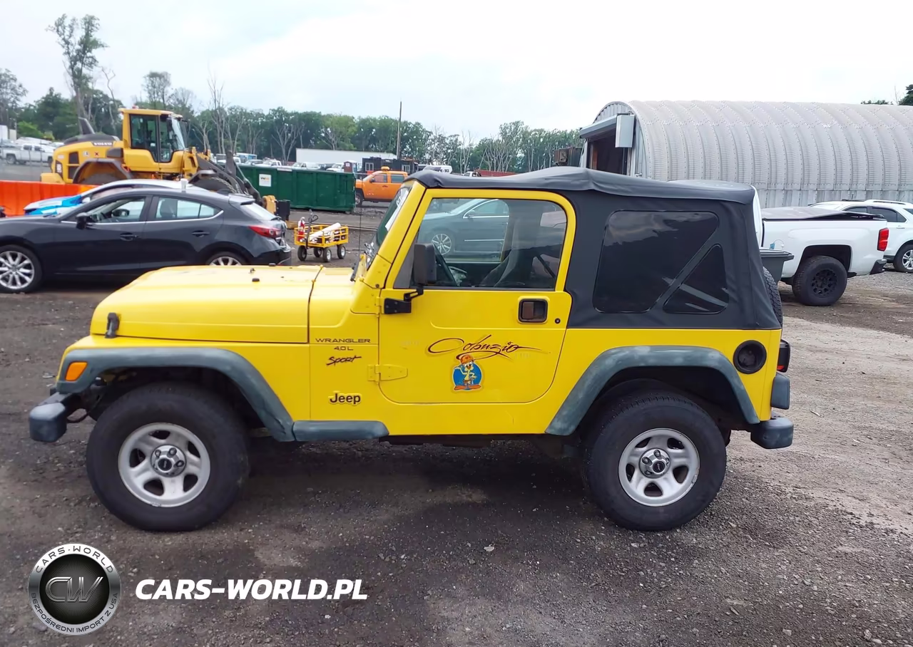 2000 Jeep Wrangler Sport VIN:1J4FA49S8YP788476 - 14