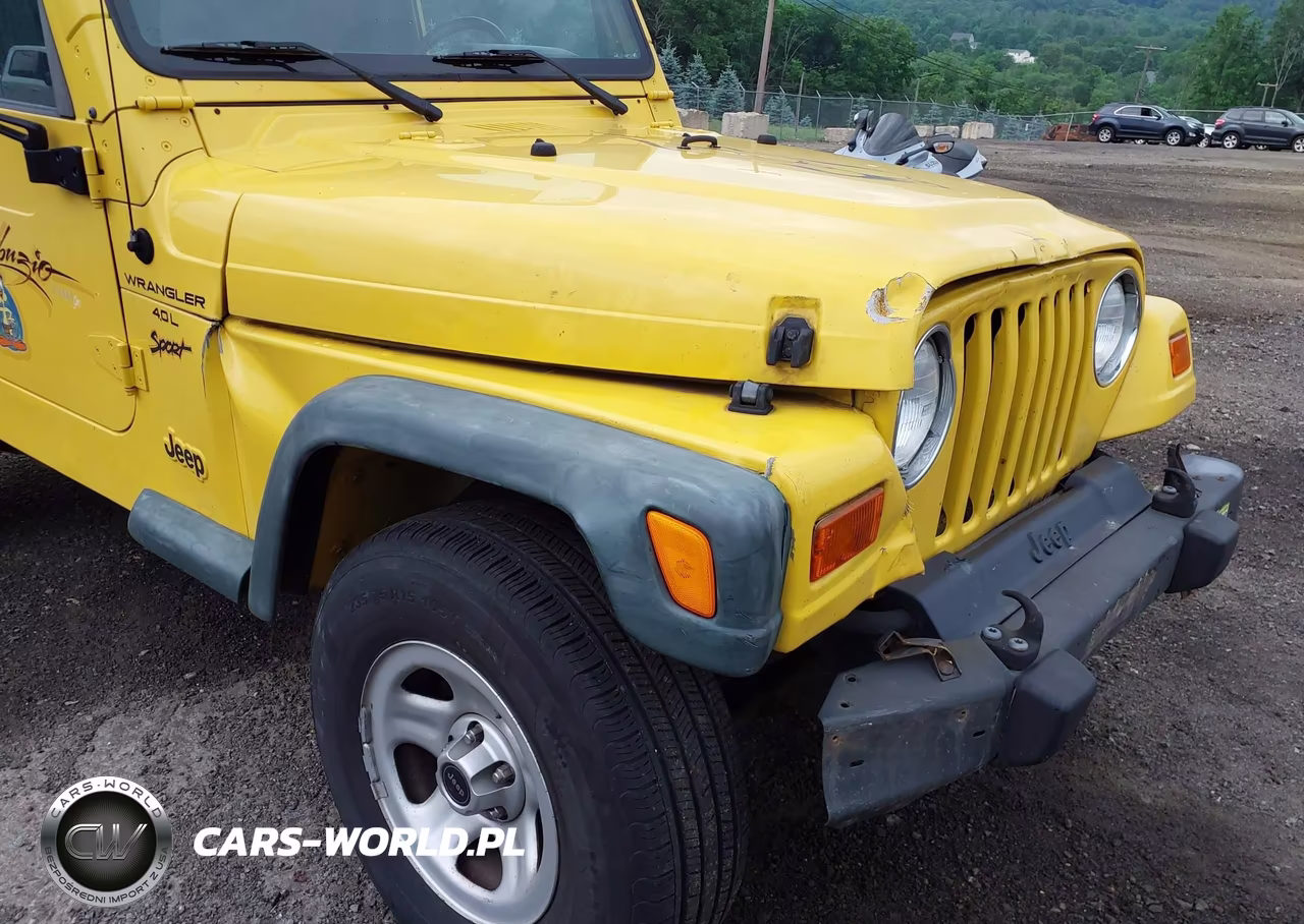 2000 Jeep Wrangler Sport VIN:1J4FA49S8YP788476 - 6