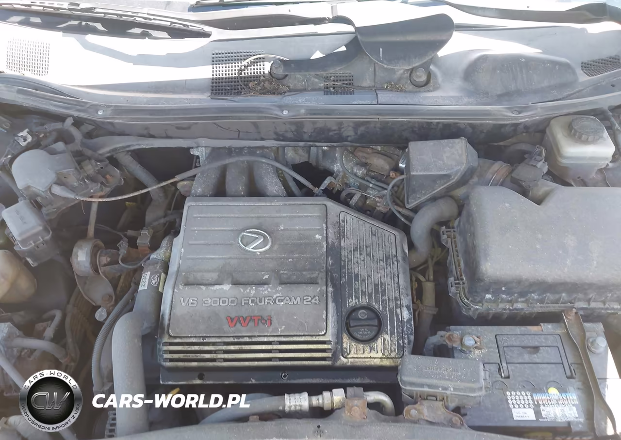 2003 Lexus Rx 300 VIN:JTJHF10U430302161 - 10