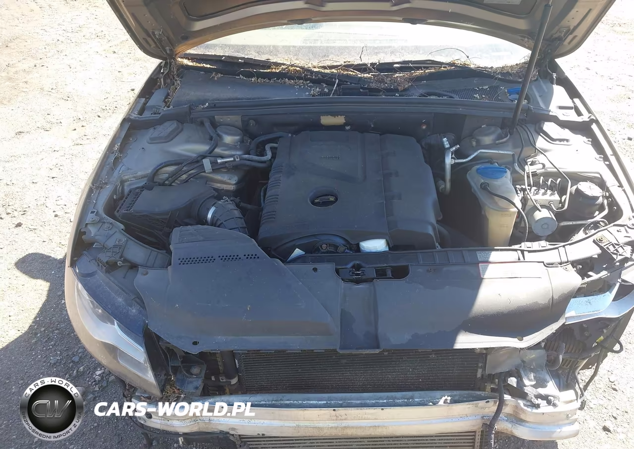 2010 Audi A4 2.0T Premium VIN:WAUFFAFL0AN037311 - 10