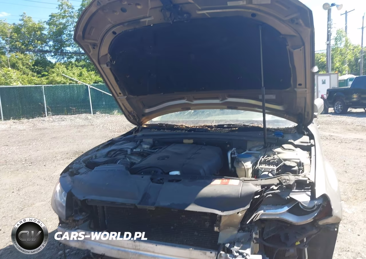 2010 Audi A4 2.0T Premium VIN:WAUFFAFL0AN037311 - 6