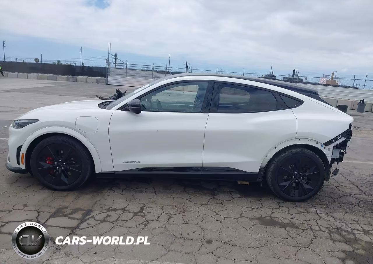 2025 Ford Mustang Mach-E Gt VIN:3FMTK4SX4SMA27206 - 15