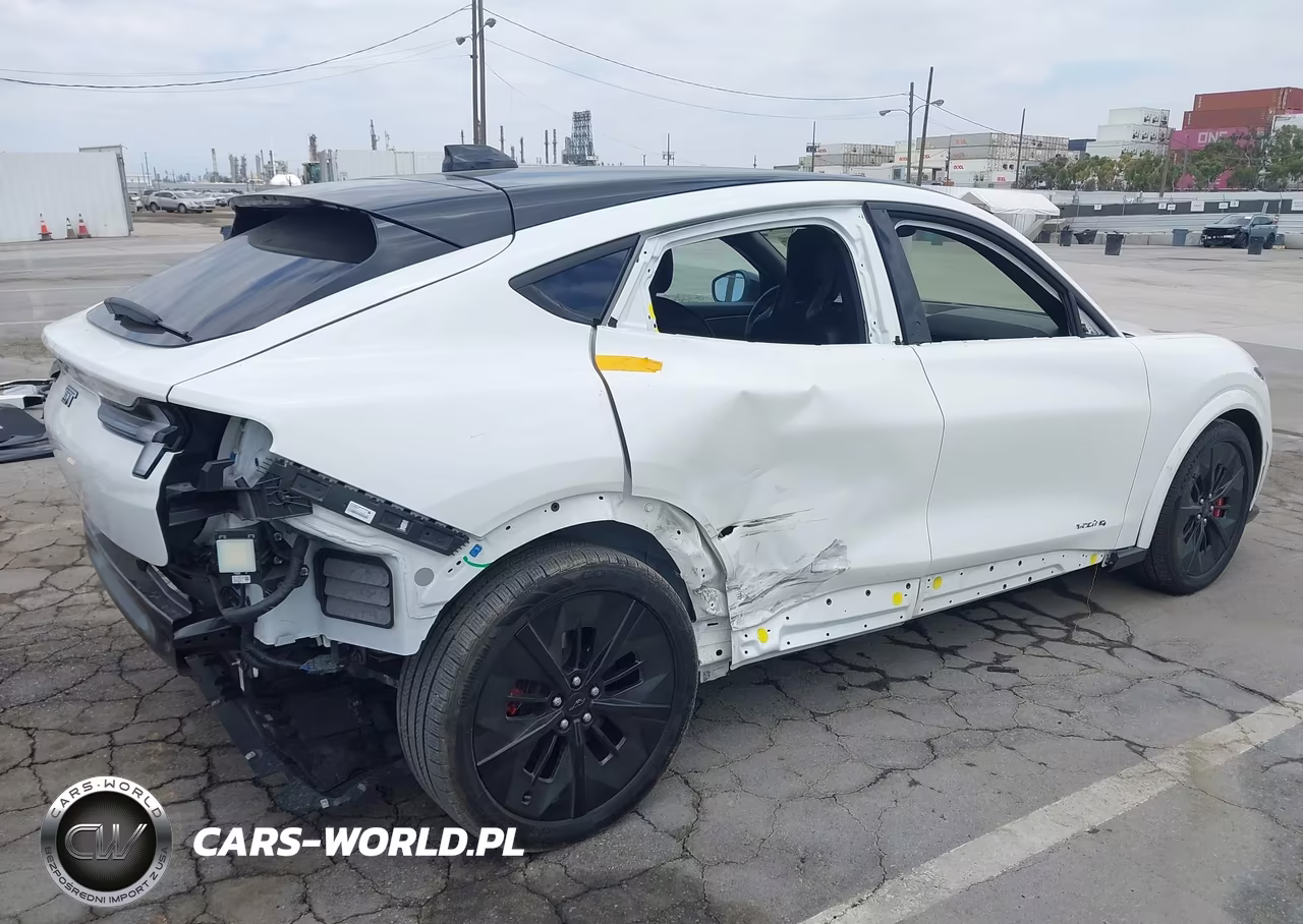 2025 Ford Mustang Mach-E Gt VIN:3FMTK4SX4SMA27206 - 6
