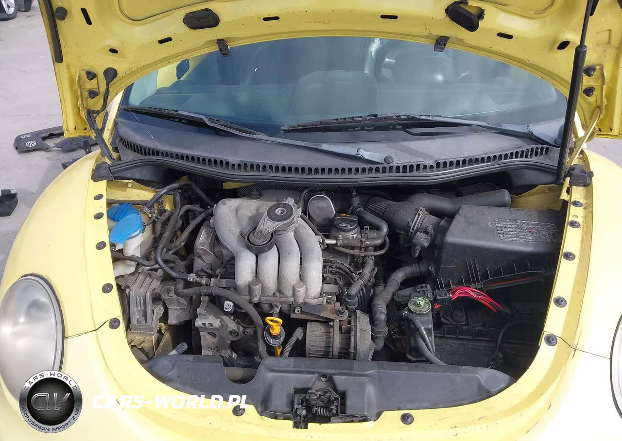 2005 Volkswagen New Beetle Gls VIN:3VWCK31C45M417429 - 10