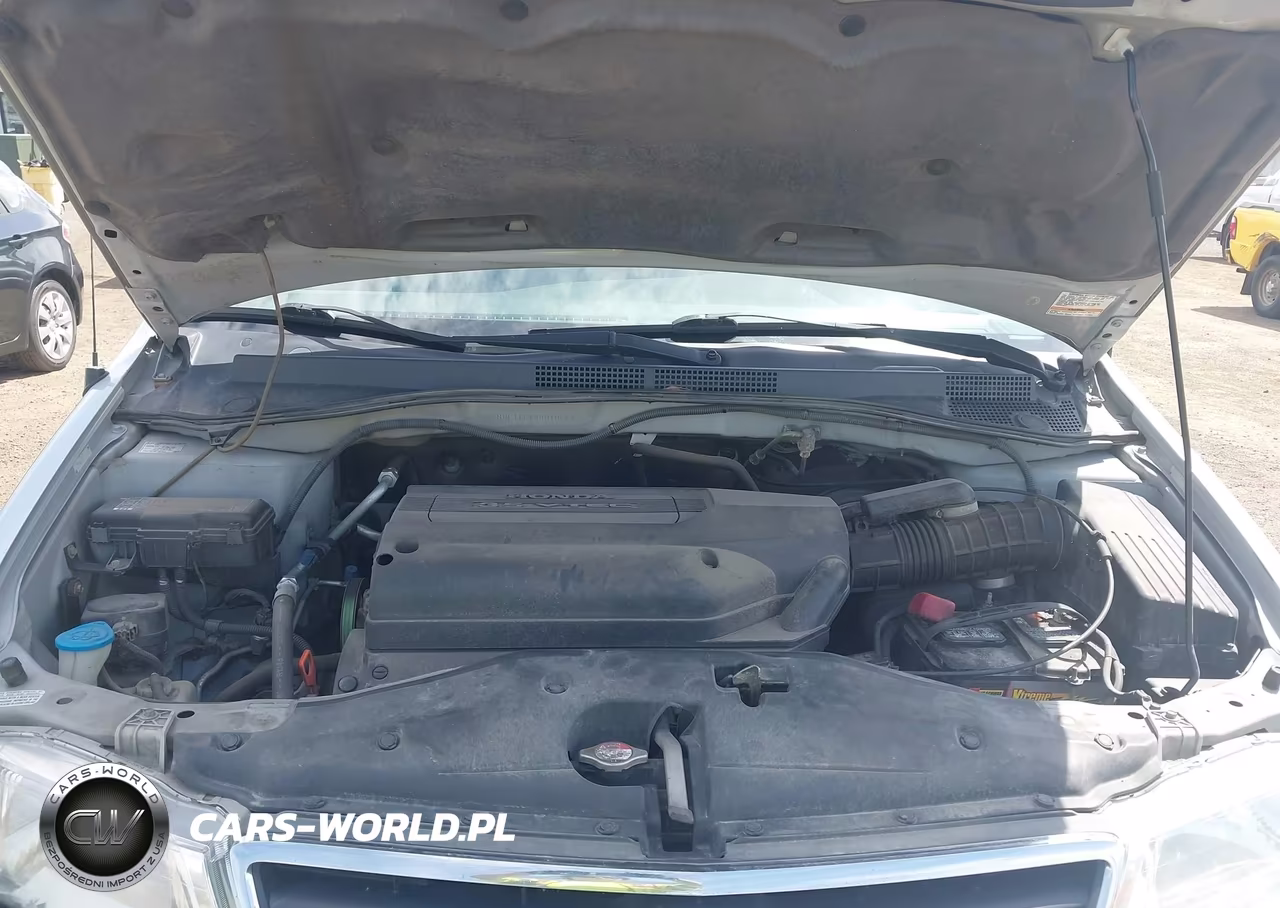 2004 Honda Odyssey Lx VIN:5FNRL185X4B010529 - 10