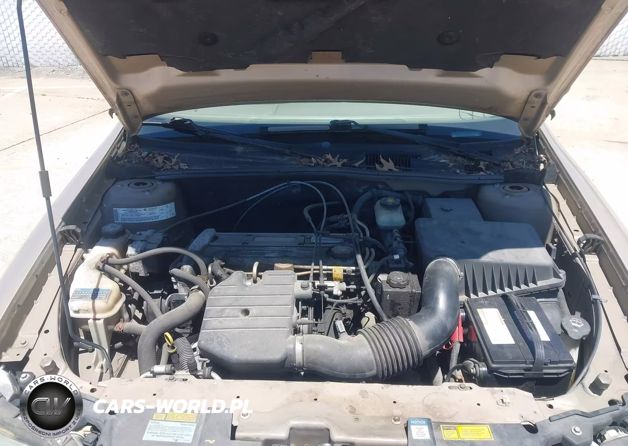 2004 Chevrolet Classic VIN:1G1ND52F64M631609 - 10