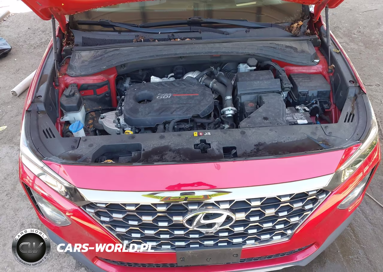 2020 Hyundai Santa Fe Limited 2.0T VIN:5NMS5CAA1LH200893 - 10