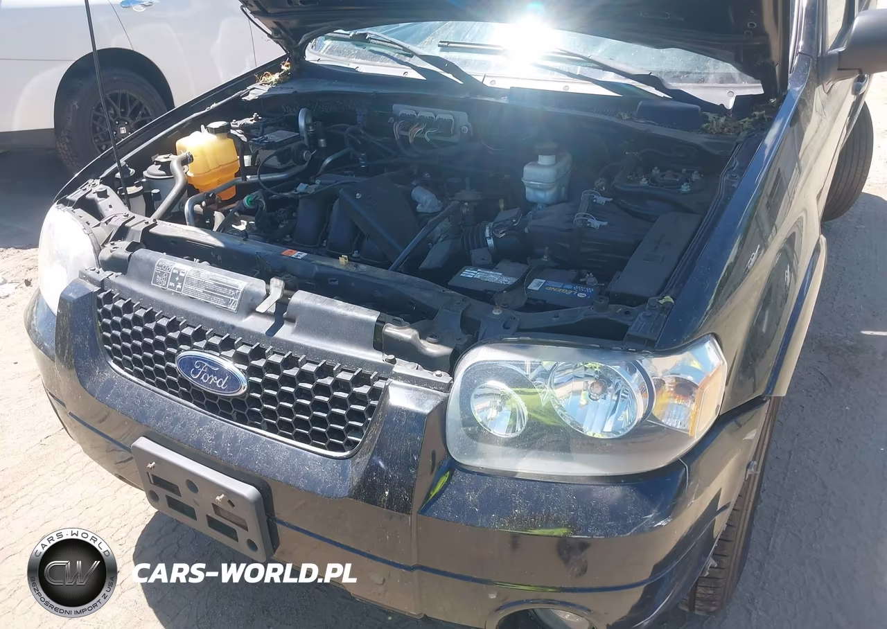 2006 Ford Escape Limited VIN:1FMYU94116KD54231 - 10