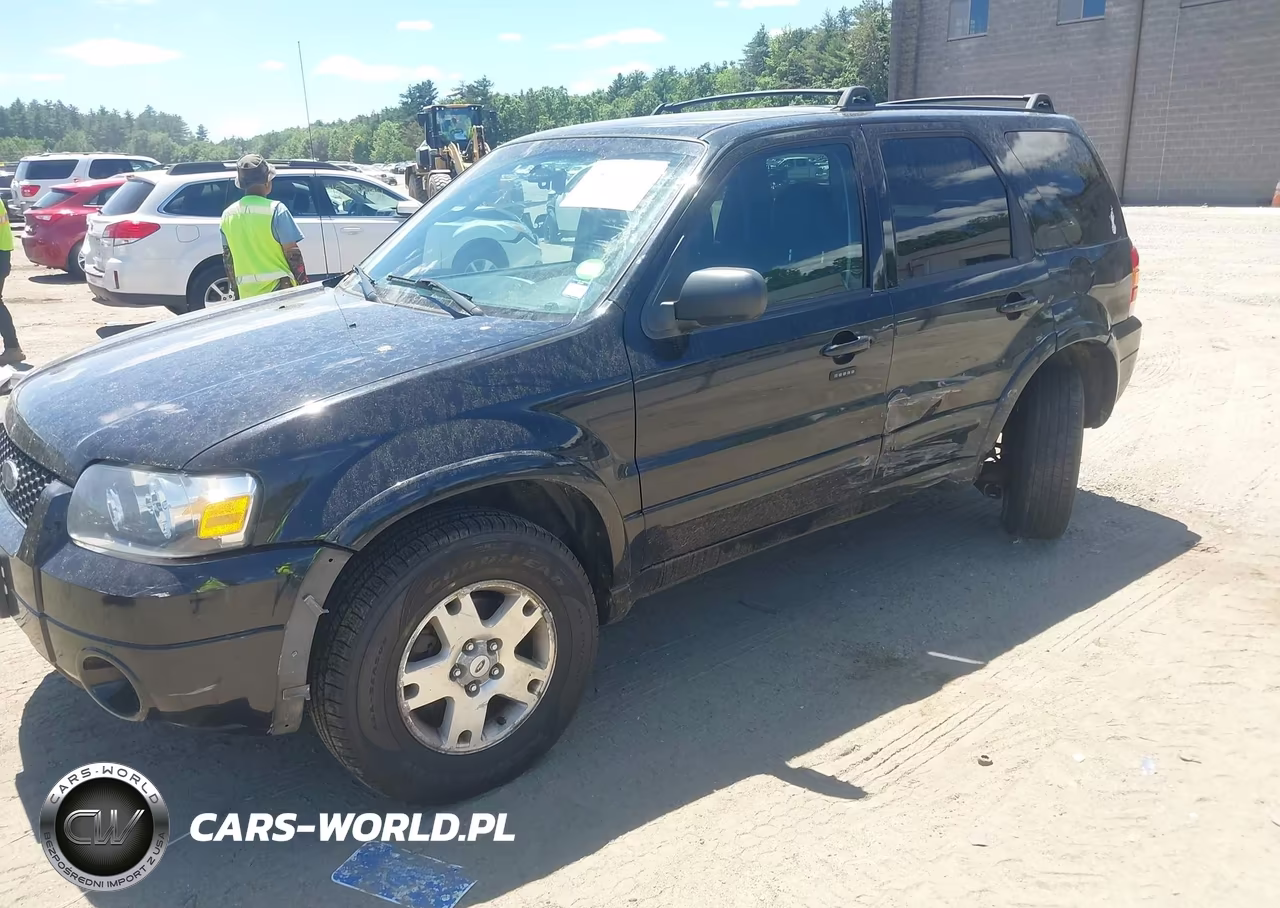 2006 Ford Escape Limited VIN:1FMYU94116KD54231 - 2