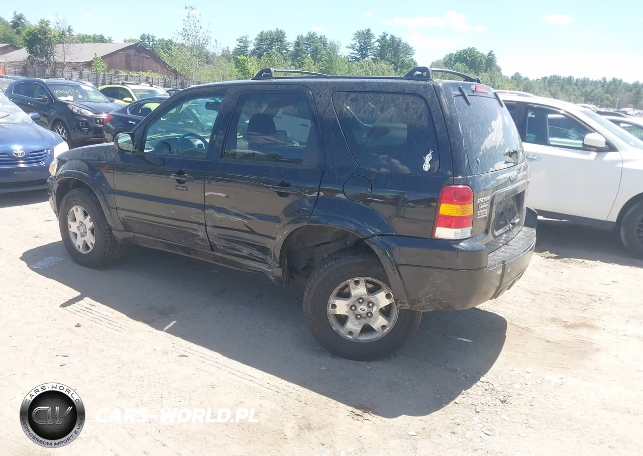 2006 Ford Escape Limited VIN:1FMYU94116KD54231 - 3