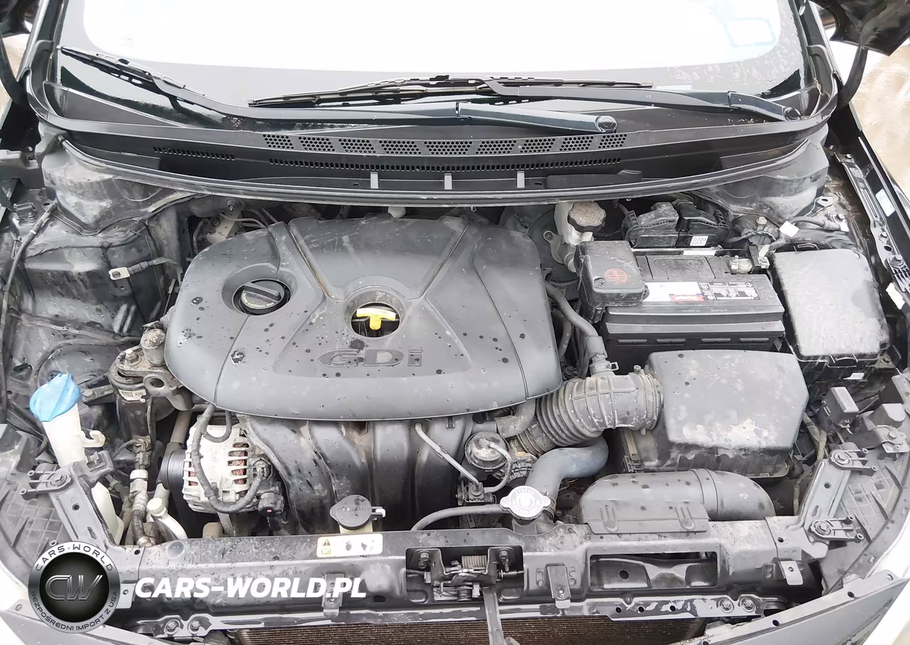 2014 Kia Forte Ex VIN:KNAFX4A88E5059368 - 10