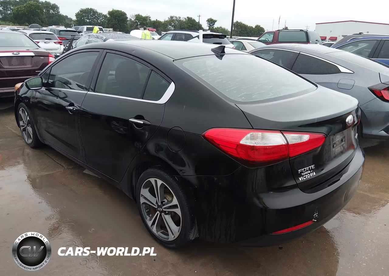2014 Kia Forte Ex VIN:KNAFX4A88E5059368 - 3