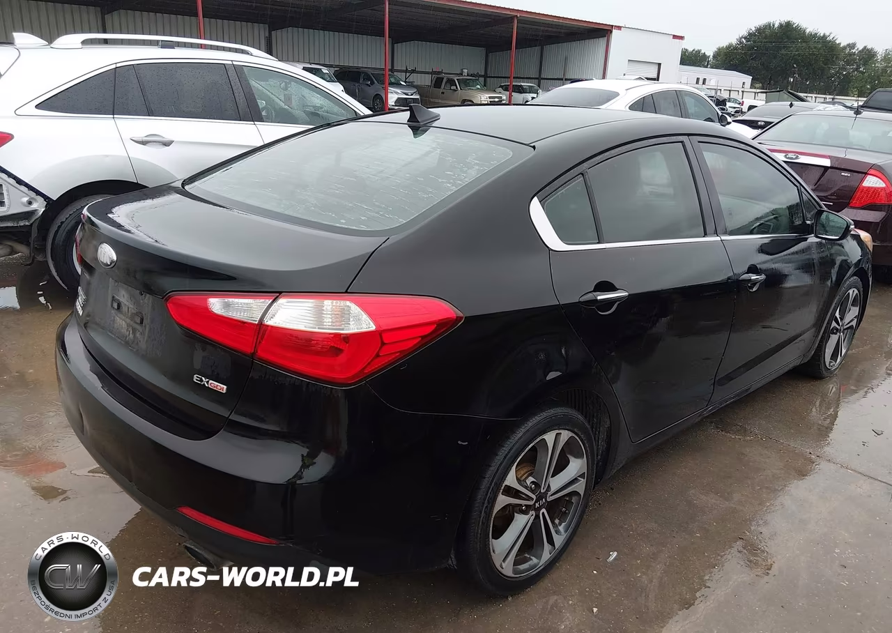 2014 Kia Forte Ex VIN:KNAFX4A88E5059368 - 4