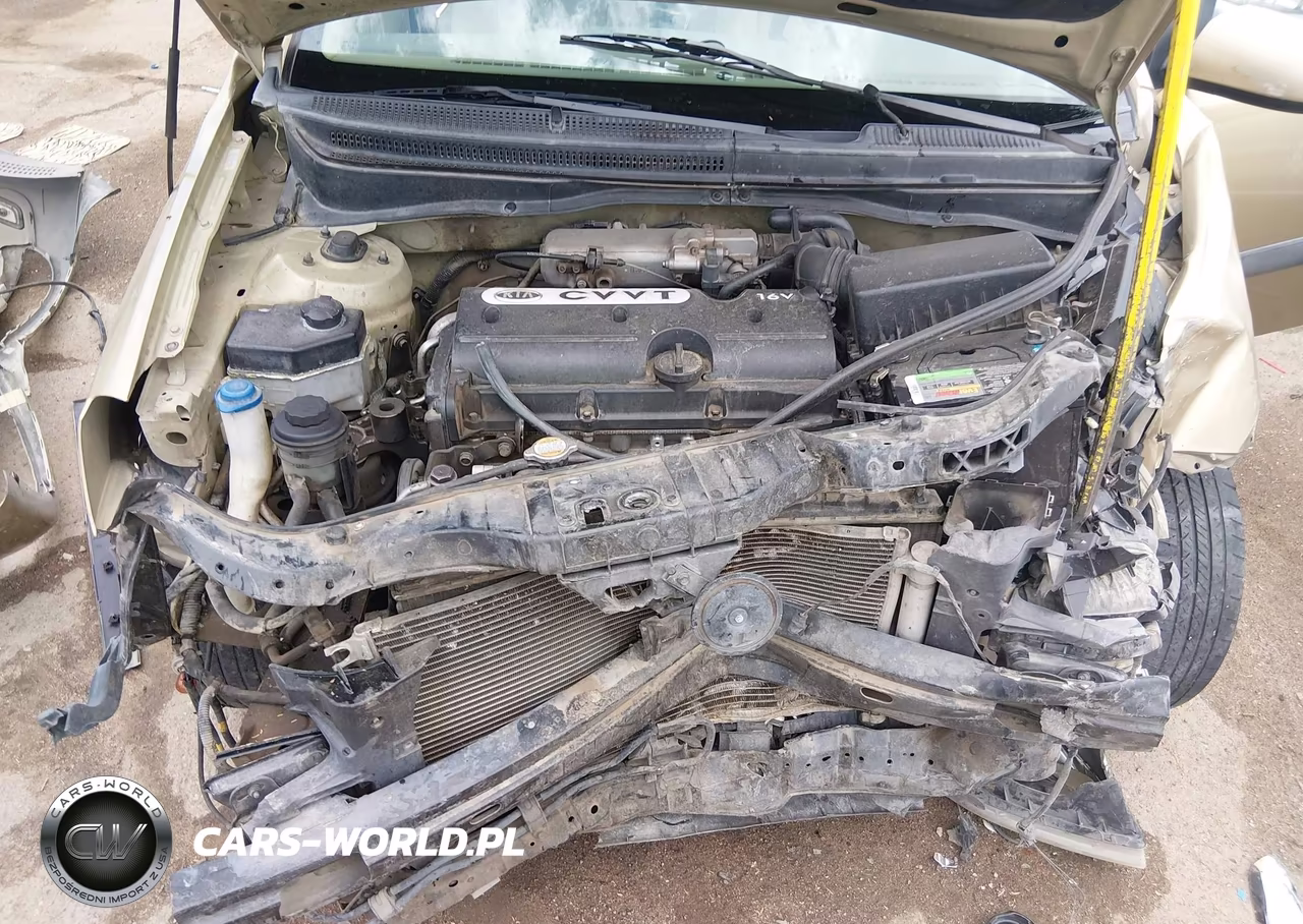 2009 Kia Rio Lx VIN:KNADE223196463391 - 10