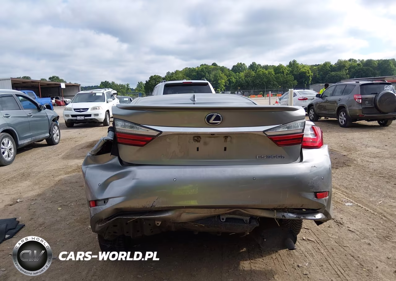2018 Lexus Es 300H VIN:JTHBW1GG5J2182251 - 16