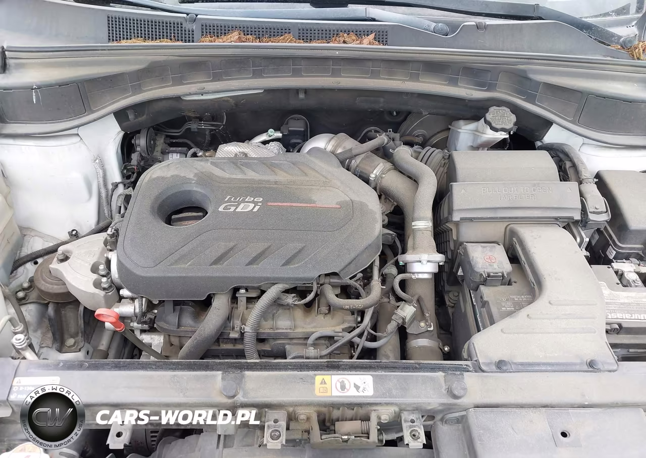 2017 Hyundai Santa Fe Sport 2.0T Ultimate VIN:5XYZW4LAXHG406004 - 10