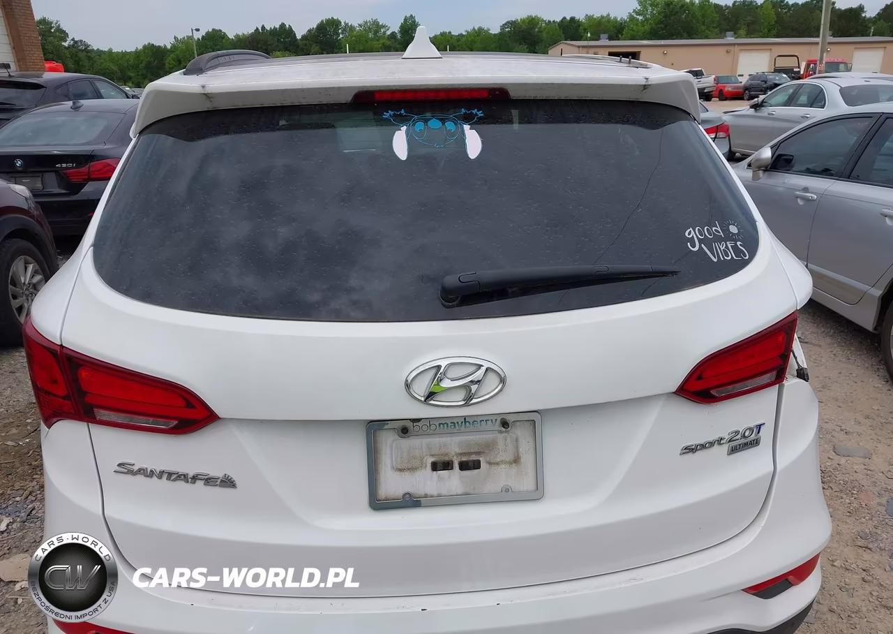 2017 Hyundai Santa Fe Sport 2.0T Ultimate VIN:5XYZW4LAXHG406004 - 16