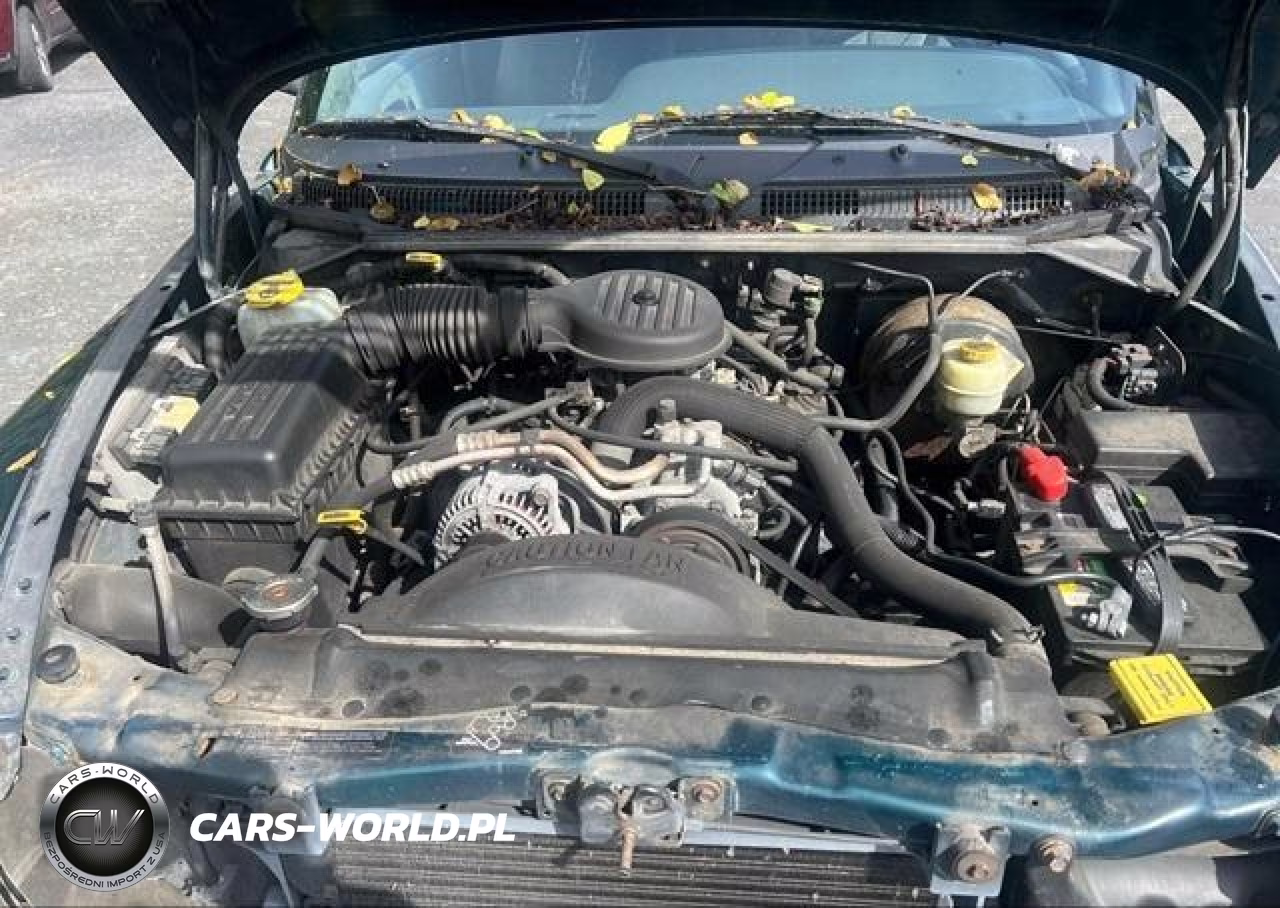 1999 Dodge Dakota Slt-Sport VIN:1B7GG22Y9XS229011 - 10