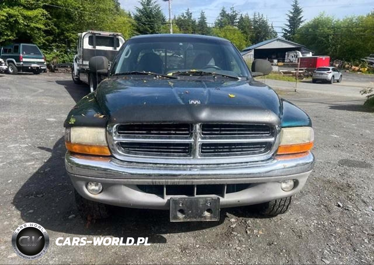 1999 Dodge Dakota Slt-Sport VIN:1B7GG22Y9XS229011 - 12