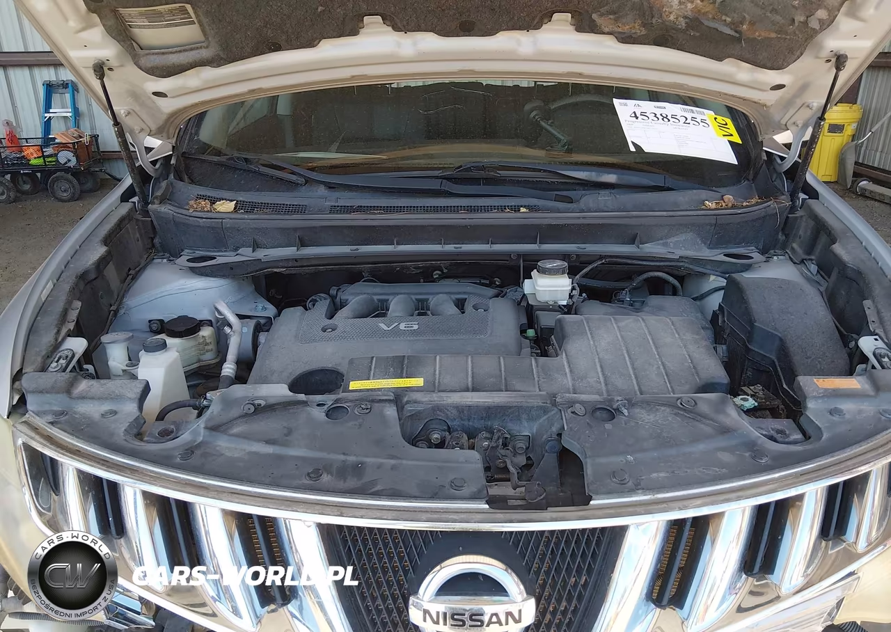 2009 Nissan Murano Le VIN:JN8AZ18W19W127010 - 10