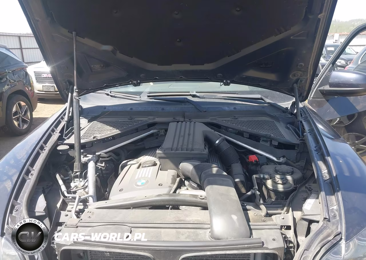 2009 BMW X5 xDrive30I VIN:5UXFE43599L263530 - 10