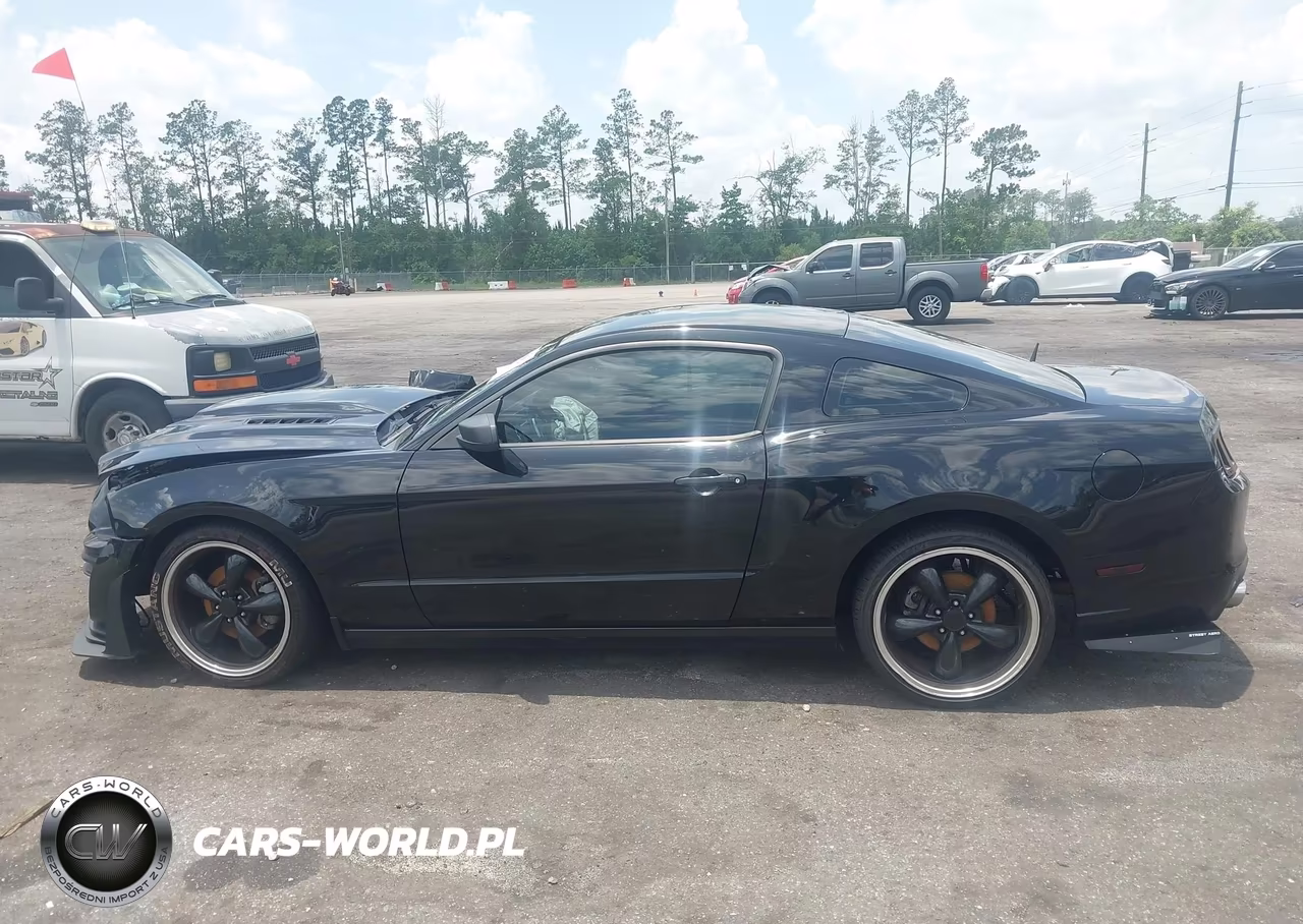 2014 Ford Mustang V6-V6 Premium VIN:1ZVBP8AM7E5290149 - 14