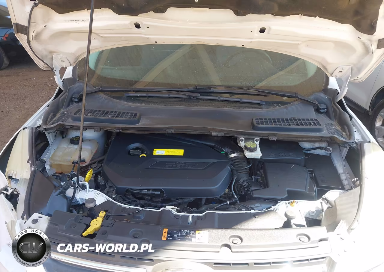 2015 Ford Escape Se VIN:1FMCU0GXXFUC23826 - 10