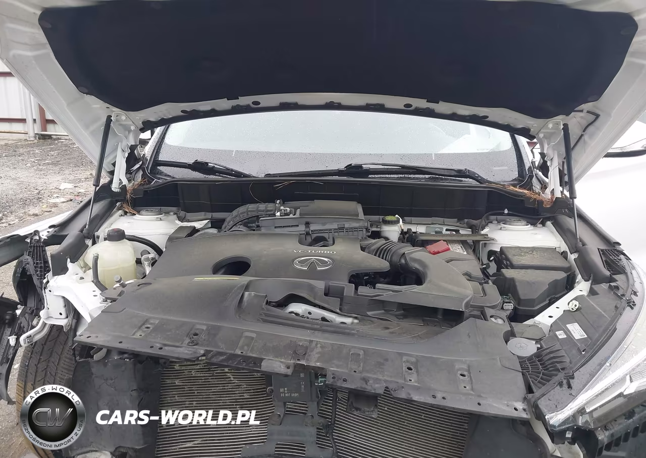 2020 Infiniti Qx50 Luxe VIN:3PCAJ5M11LF119330 - 10