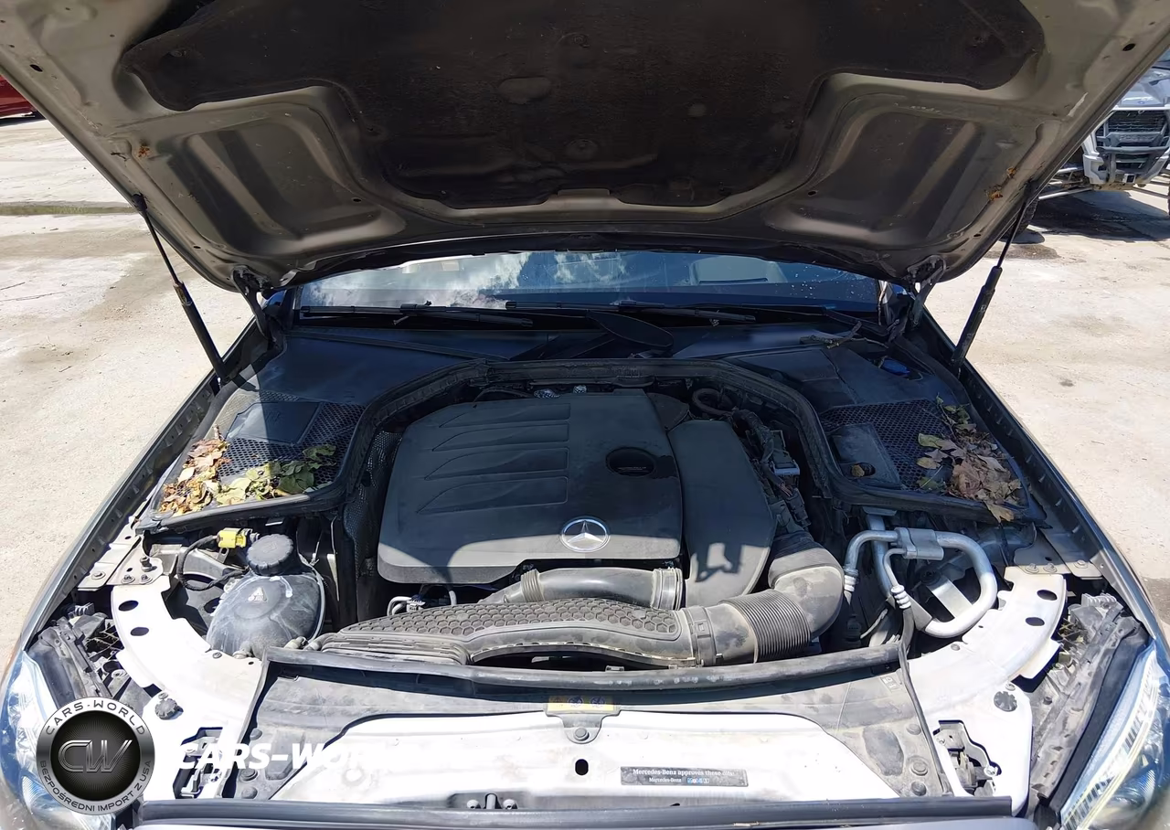2019 Mercedes-Benz C 300 4Matic VIN:55SWF8EB5KU271463 - 10
