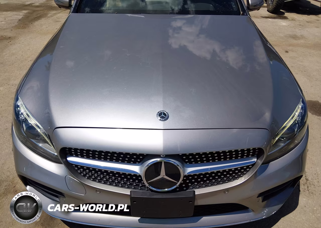 2019 Mercedes-Benz C 300 4Matic VIN:55SWF8EB5KU271463 - 17