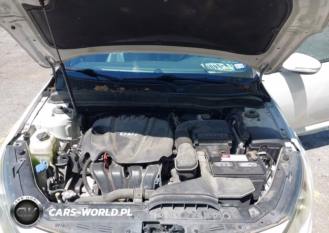 2013 Kia Optima Ex VIN:5XXGN4A79DG118331 - 10