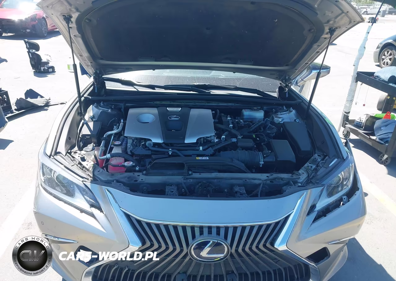 2019 Lexus Es 300H VIN:JTHB21B19K2003533 - 10