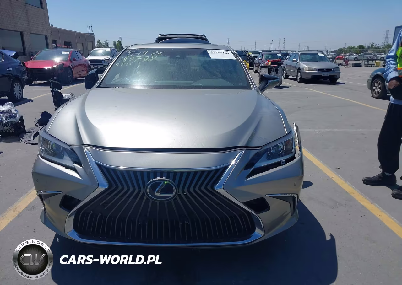 2019 Lexus Es 300H VIN:JTHB21B19K2003533 - 13
