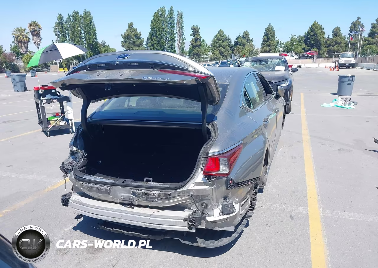 2019 Lexus Es 300H VIN:JTHB21B19K2003533 - 17