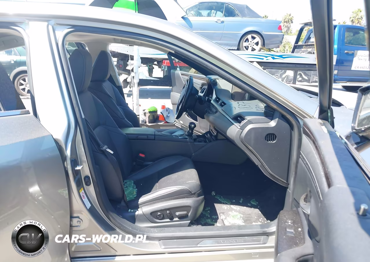 2019 Lexus Es 300H VIN:JTHB21B19K2003533 - 5