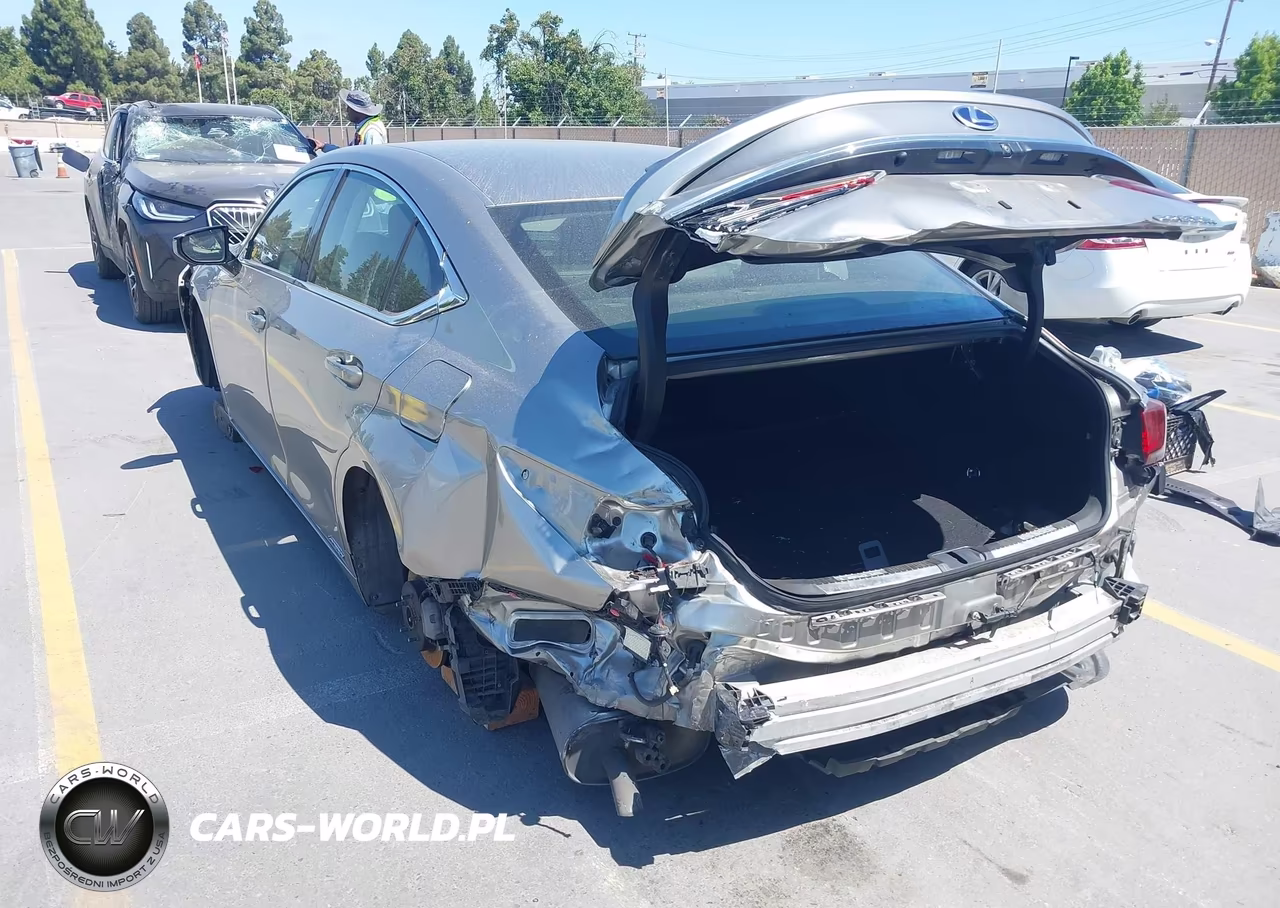 2019 Lexus Es 300H VIN:JTHB21B19K2003533 - 6