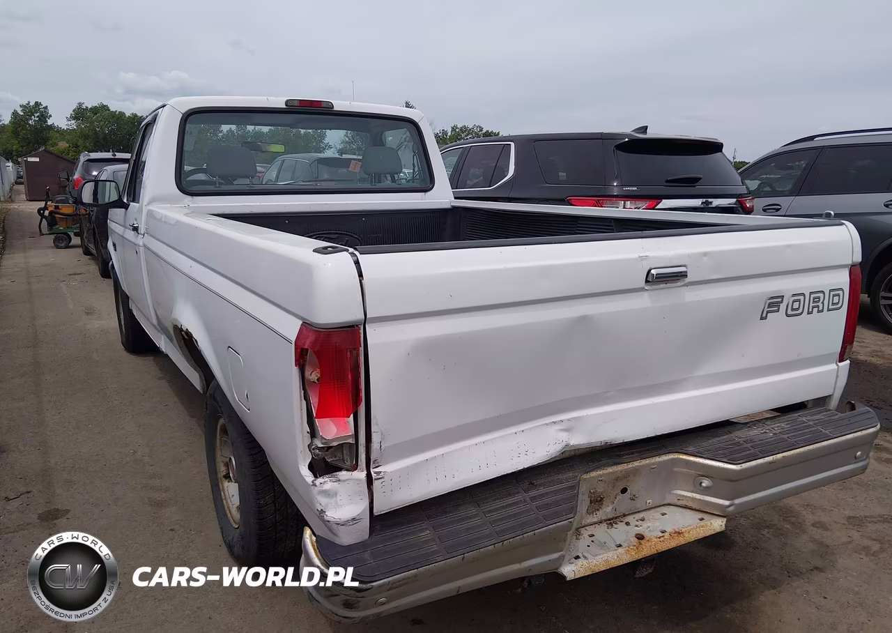 1994 Ford F150 VIN:1FTEF15Y5RNA49218 - 6