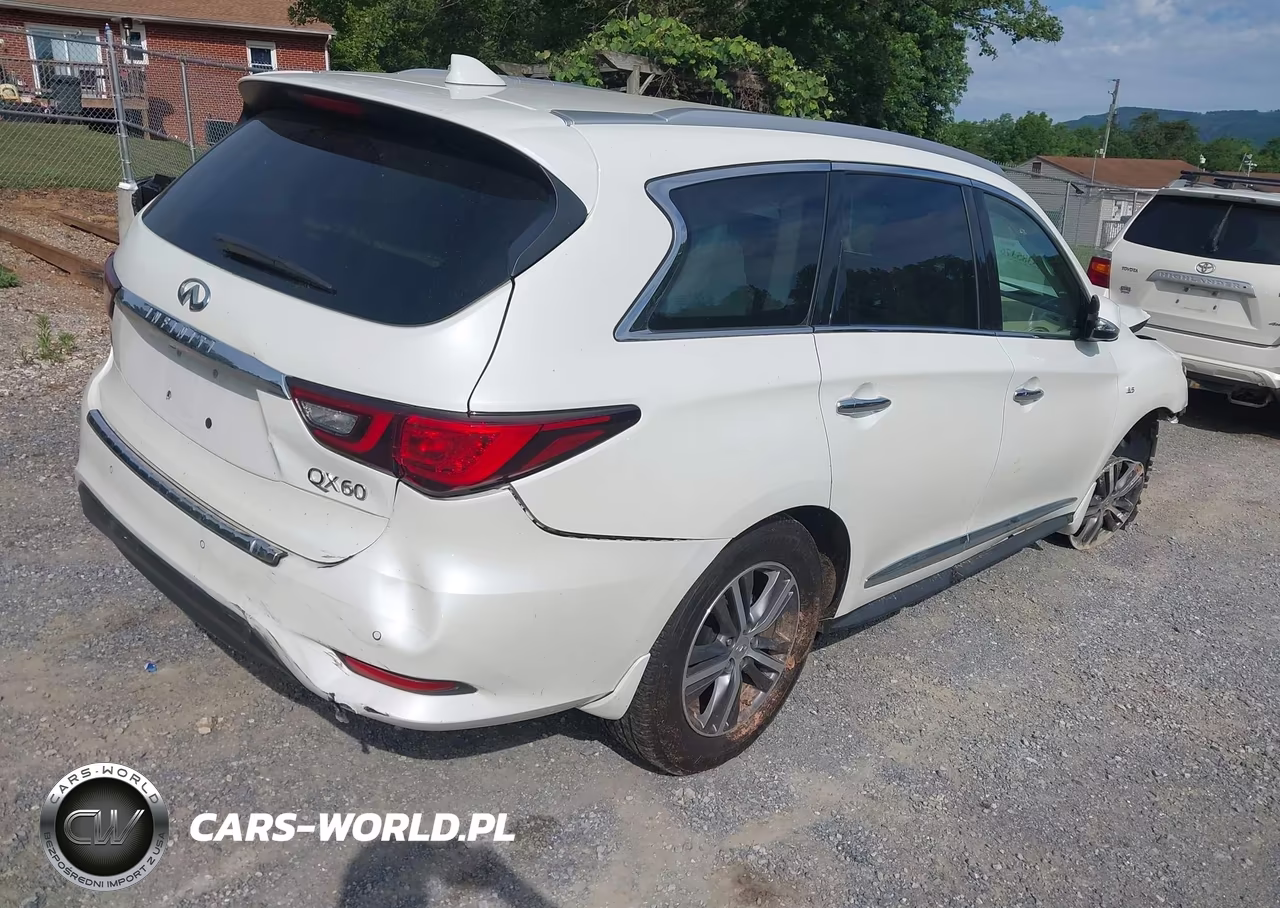 2020 Infiniti Qx60 Luxe VIN:5N1DL0MN6LC521060 - 4