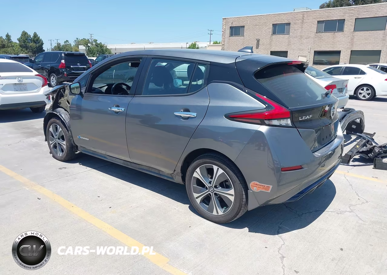 2019 Nissan Leaf Sv Plus VIN:1N4BZ1CP6KC309038 - 3