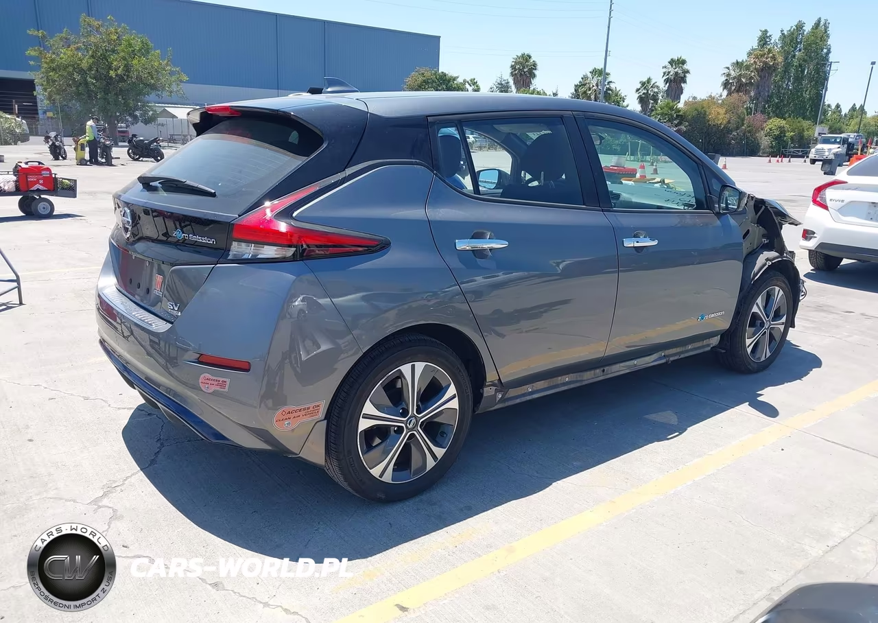 2019 Nissan Leaf Sv Plus VIN:1N4BZ1CP6KC309038 - 4
