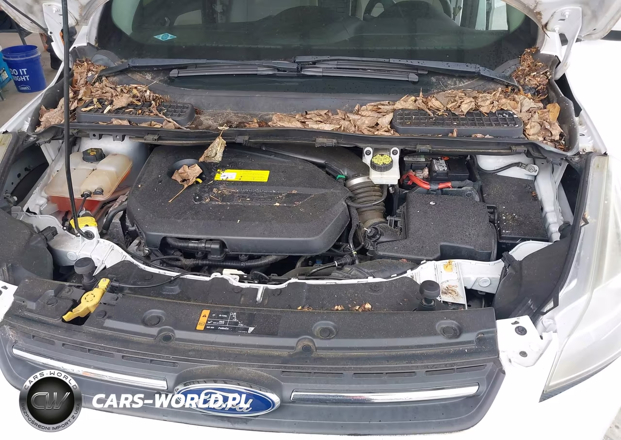 2015 Ford Escape Se VIN:1FMCU0GX4FUC85528 - 10