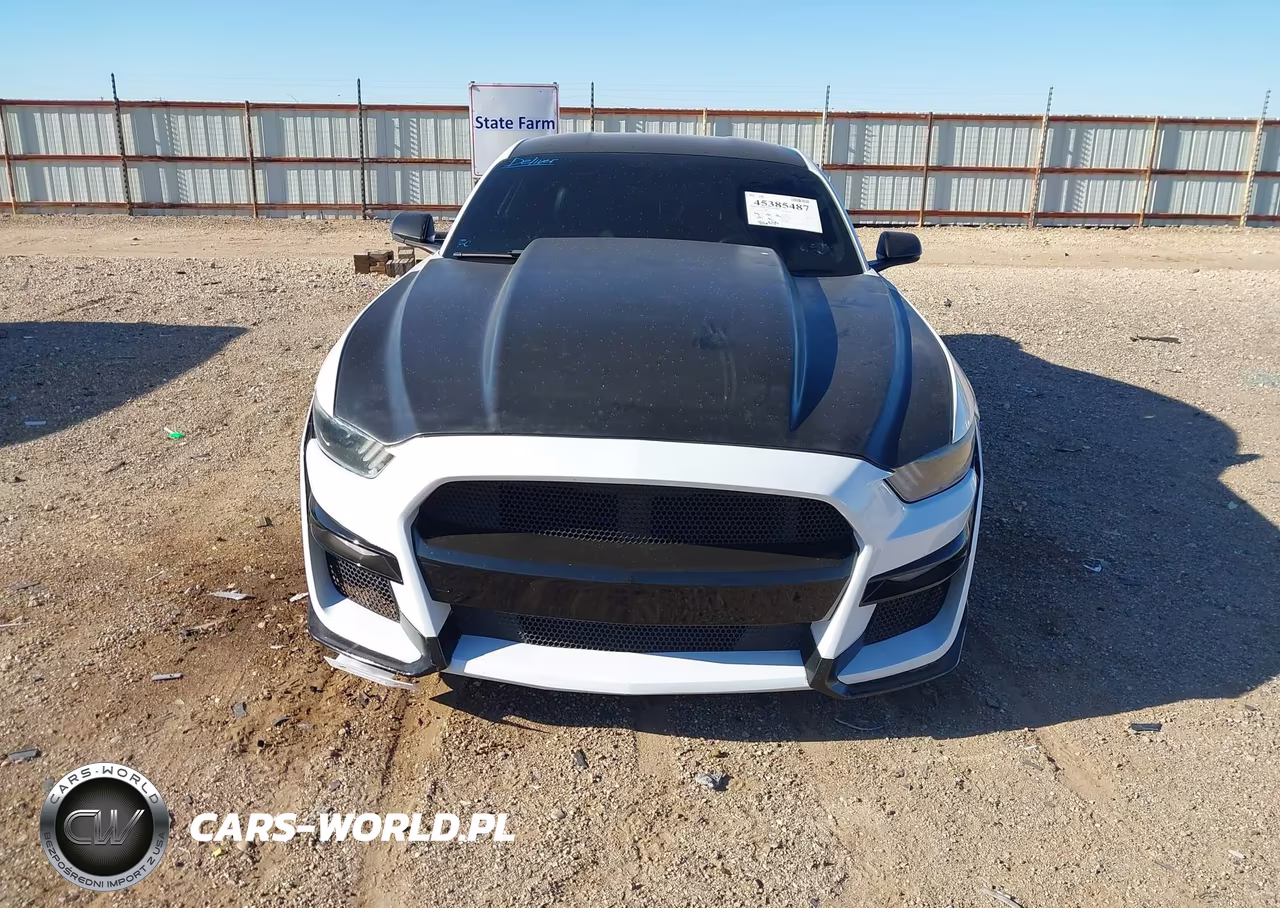 2015 Ford Mustang Ecoboost VIN:1FA6P8THXF5359766 - 12