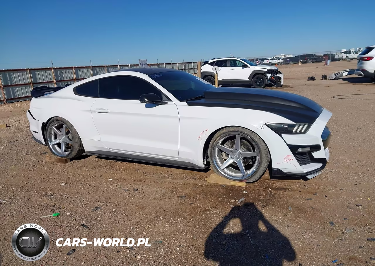 2015 Ford Mustang Ecoboost VIN:1FA6P8THXF5359766 - 13