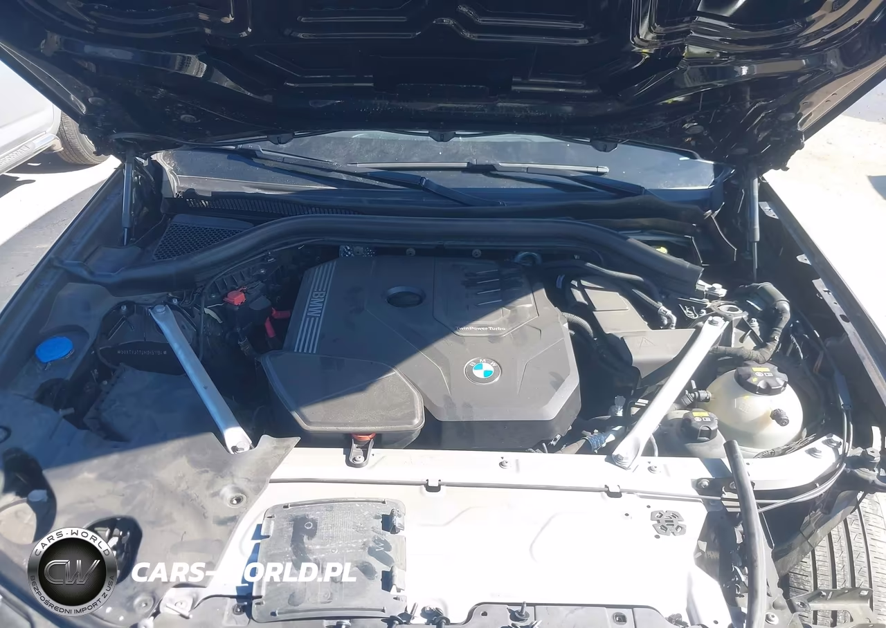 2021 BMW X3 Sdrive30I VIN:5UXTY3C03M9H51194 - 10