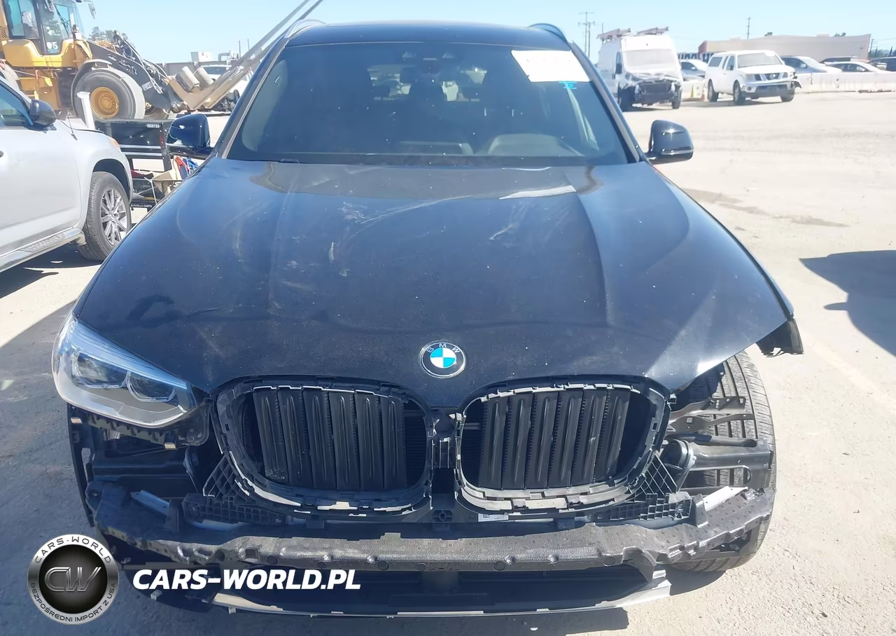 2021 BMW X3 Sdrive30I VIN:5UXTY3C03M9H51194 - 13