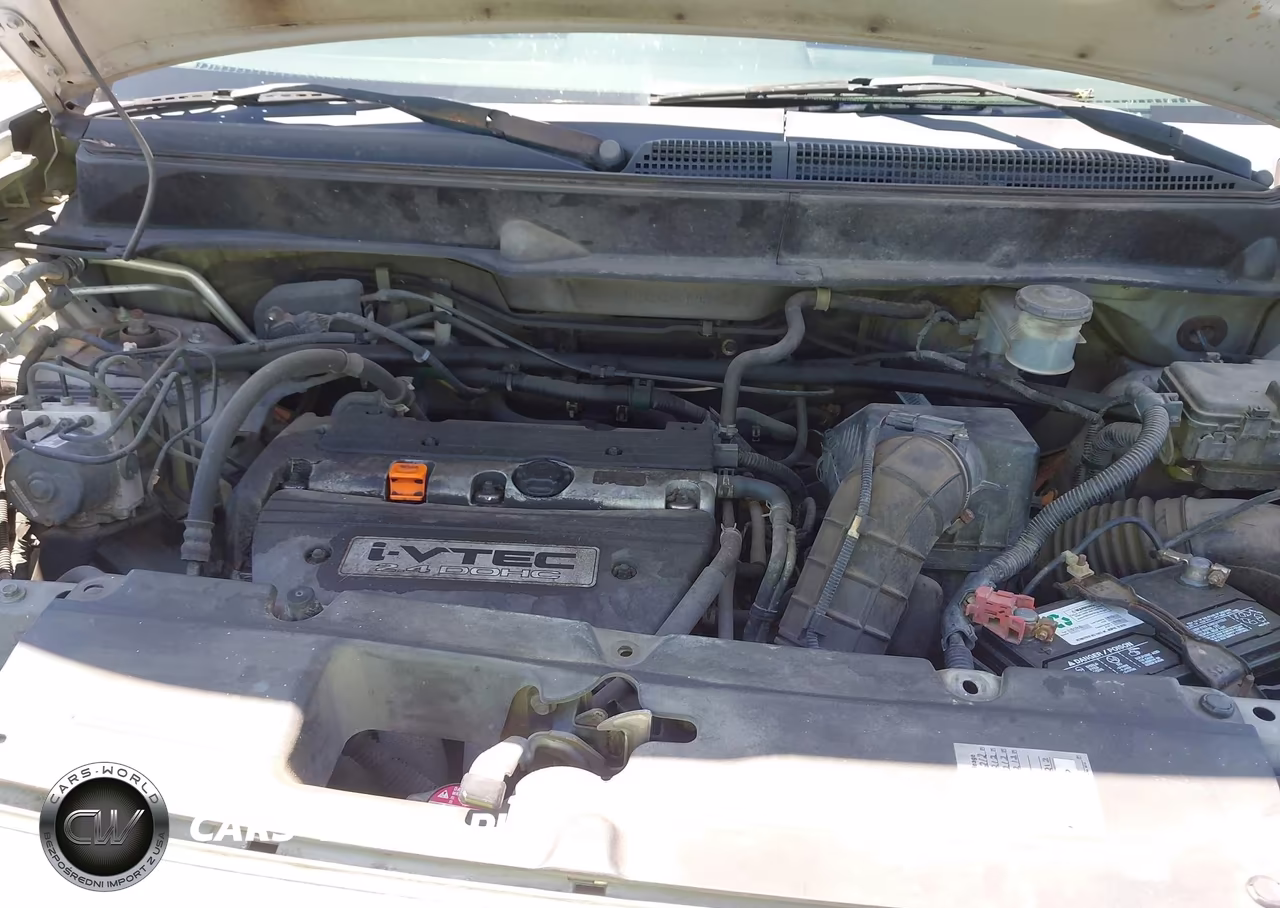 2007 Honda Element Sc VIN:5J6YH18977L001962 - 10