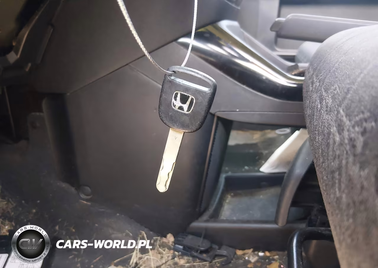 2007 Honda Element Sc VIN:5J6YH18977L001962 - 11